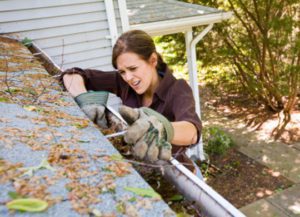 How much does it cost to get gutters cleaned?