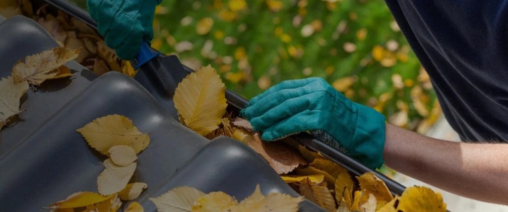 Gutter filled with leaves