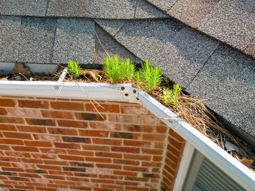CLOGGED GUTTER